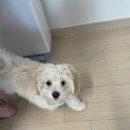 김비타약국 이미지