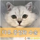 다우동물병원 이미지