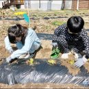 온혜초교 이미지