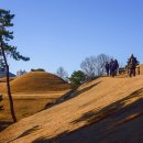 연산동고분군 이미지