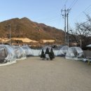 히푸(HIPPU)