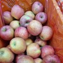 백동농장 이미지