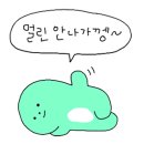 블랙리스트mma