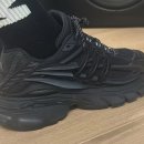 젤리피쉬 이미지