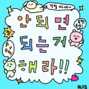 금별마켓 이미지
