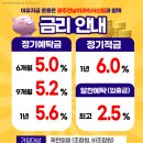 광주전남치과의사신용협동조합 이미지