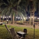 팜트리 빌리지 | 제주 서귀포 숙소 추천, 독채펜션 &#39;팜트리빌리지&#39; 2동 후기