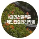 제민천1길,제민천3길 이미지