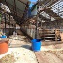 한우축사 이미지