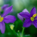 운현초등학교(교동) 이미지