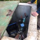 장안웃길 이미지