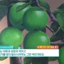 주식회사 생기의집 이미지