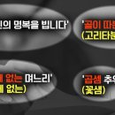 달보드레하다 이미지