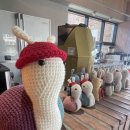 빨간모자달팽이 이미지