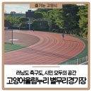 고양어울림누리 별무리인조잔디구장 | 여름 저녁, 고양어울림누리 별무리경기장을 걷다