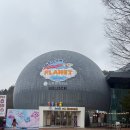 자이언트 태권도 | 과천 무제한 대형 키즈카페, 그라운드플래닛 서울대공원점