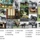 현재목장 이미지