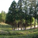 다원 당구장 이미지