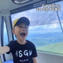 준카프라자 | 발왕산 관광케이블카 :: 국내 최장 케이블카와 하늘 위 투명다리 스카이워크 후기
