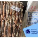 중국, 일렉스/포크 오징어 조업량 40% 감소로 가격 상승 이미지