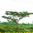 김경숙농장 이미지