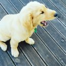 해안펜션 이미지