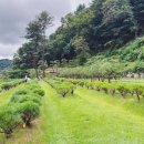 튼튼목장 이미지