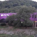 유니스의정원 이미지