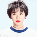 쎄시 이미지