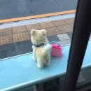 다정중학교 | 나를 돌봐준 수많은 다정함