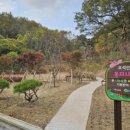 (복)오석산정신요양원