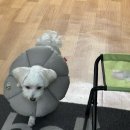 08월 오늘의일기