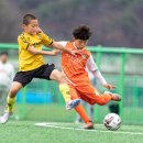 군민체육공원 인조4구장 이미지