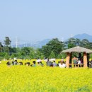 갈매광장_애비뉴거리 이미지