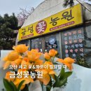장미다방 | [오산꽃집] 금성꽃농원 장미꽃다발 쥬시테라자 후기