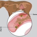 남창미르동물병원 이미지