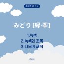 미도리 이미지