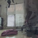 다은환경 이미지