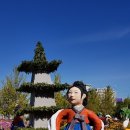 [5060여행친구]일산호수공원가을꽃축제여행후기- 3,19,10,9,수 이미지