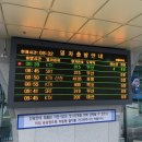 새만나분식 | [대구] 1박 2일 놀러간 대구 나들이 | 서문시장 / 에덴김밥 /씨앗호떡 / 새소리 / 대구신백