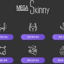 스키니바디 네이버블로그