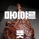 마이야르 이미지