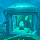 스마트게임장 | [베트남자유여행]푸꾸옥 여행 3일차 오후 빈원더스 아쿠아리움 방문과 &#39;원스쇼&#39; 후기(feat.슈가케인쥬스)