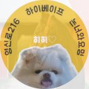 단나헤어 | 당산 대용량 전자담배 하이베이프