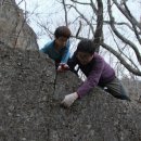 구름정원펜션 이미지