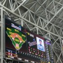 태경영수 | 고척스카이돔 외야 후기!! 외야 공줍기 승요되어돌아옴