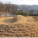 박대립선생묘 및 신도비 이미지