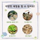 우리손 영암농장 이미지