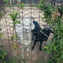 예산황새공원 주차장 이미지