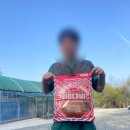 휴먼캠핑장 | 서울 근교 경기도 양평 휴먼캠핑장 벚꽃 캠핑 F8,9사이트 후기